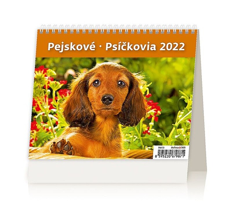 Minimax Pejskové 2027, stolní kalendář