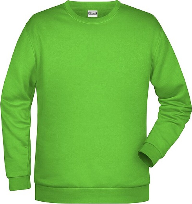Pánská mikina James Nicholson sweatshirt men, jasně zelená, vel. XXL