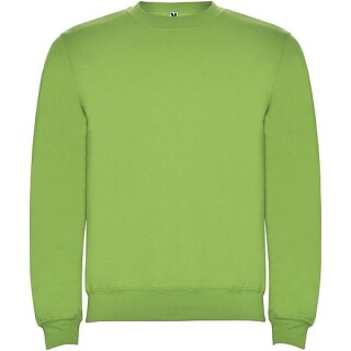 Dětská mikina s kulatým výstřihem, ROLY CLASICA, světle zelená, vel. 9/10