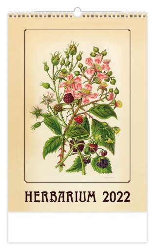 Herbarium 2027, nástěnný kalendář, prodloužená záda