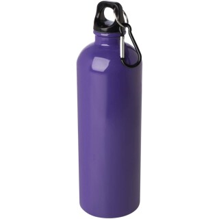 Jednostěnná láhev na vodu z nerezové oceli s karabinou 750ml, fialová