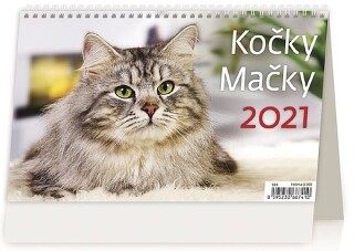 Kočky 2027, stolní kalendář
