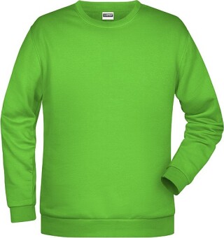 Pánská mikina James Nicholson sweatshirt men, jasně zelená, vel. M