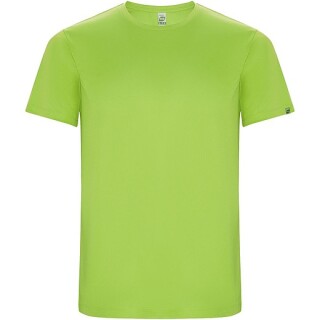 Pánské sportovní tričko s krátkým rukávem, ROLY IMOLA, světle zelená, vel. 2XL