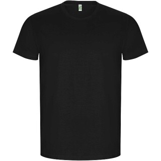 Pánské tričko s krátkým rukávem, ROLY GOLDEN, černá, vel. 2XL