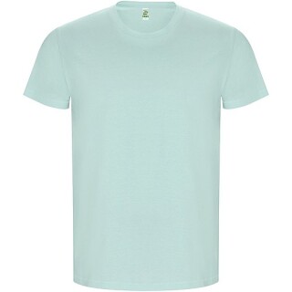 Pánské tričko s krátkým rukávem, ROLY GOLDEN, mátově zelená, vel. 3XL